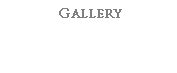 Foto Gallery